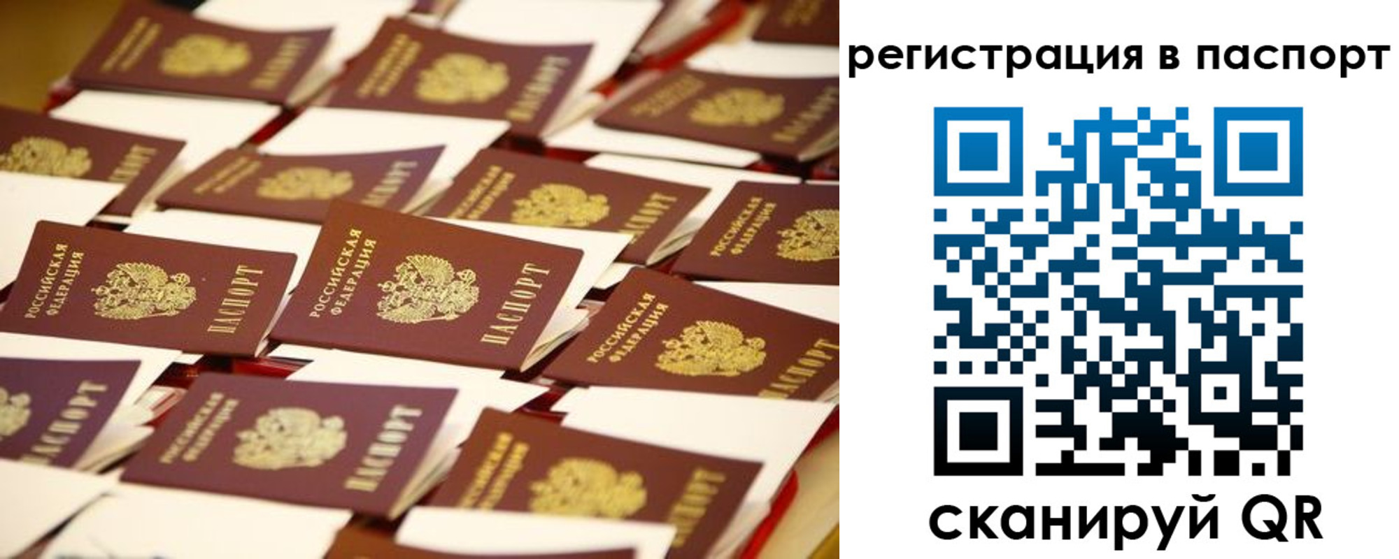 прописка гарантия в Ясном